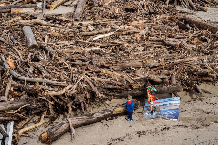 SANTA CRUZ, CALIFORNIA - JANUARY 8, 2023: During a break from a series of powerful storms of rain and high winds hitting the Californias Central Coast locals enjoy the massive amount of storm debris and uniquely good surfing on Main Beach in Santa Cruz, California on Sunday January 8, 2023. (Melina Mara/The Washington Post via Getty Images)