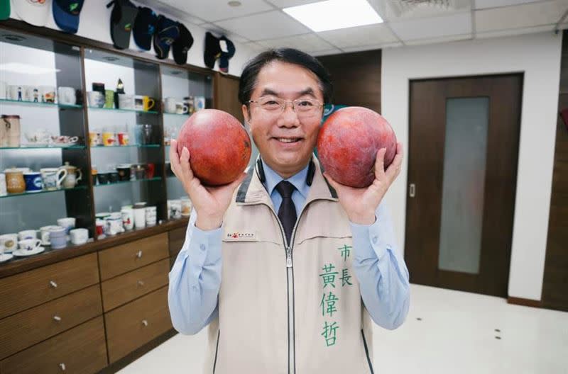 台南市長黃偉哲昨（4）日在臉書粉專Po出「大蘋果芒果」照，引起網友討論。（圖／台南市政府提供）