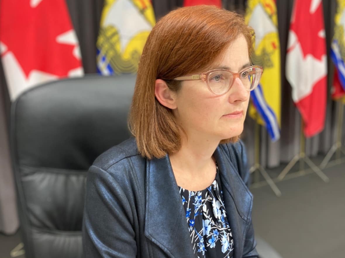 Dr. Cristin Muecke has served as New Brunswick's deputy chief medical officer of health since 2016 and been with the Department of Health since 2005. (Jacques Poitras/CBC - image credit)