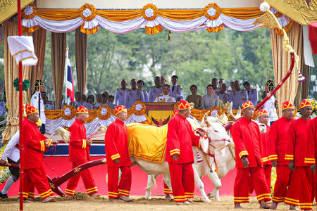 Thailand's King Maha Vajiralongkorn (C) and Queen Suthida watch the annual Royal Ploughing Ceremony in central Bangkok, Thailand, May 9, 2019. REUTERS/Athit Perawongmetha