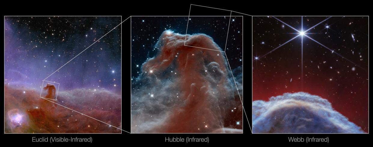 Three views of the Horsehead Nebula seen from Euclid, Hubble and now James Webb telescopes