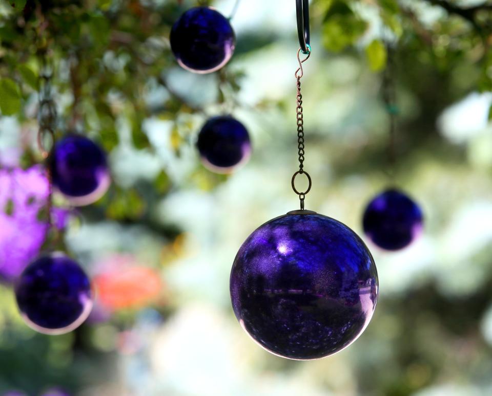 Ornamental purple balls hang from one of the trees in Dorothy Danforth's garden.