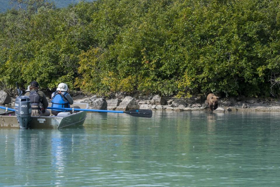 Tourists in Alaska