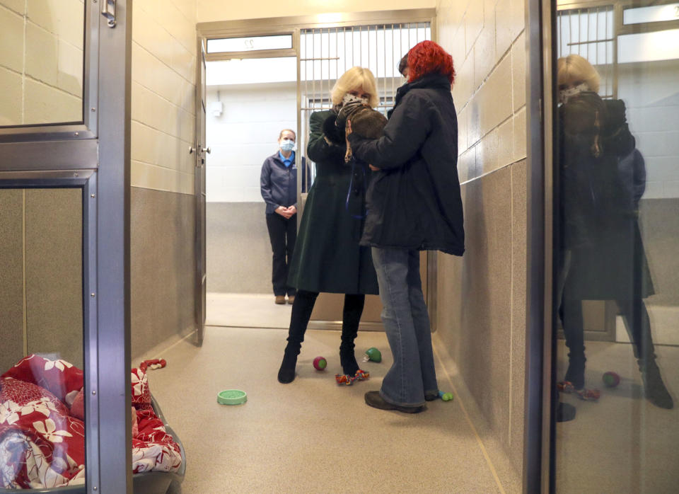 WINDSOR, ENGLAND - DECEMBER 09: Camilla, Duchess of Cornwall meets residents and staff as she visits the Battersea Dogs and Cats Home to open the new kennels and thank the centre's staff and supporters on December 9, 2020 in Windsor, United Kingdom. (Photo by Steve Parsons - WPA Pool/Getty Images)