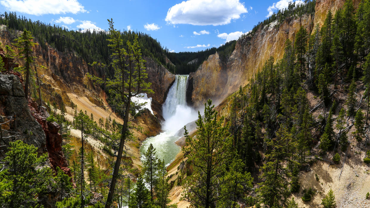  Lower Falls at Yellowstone National Park 