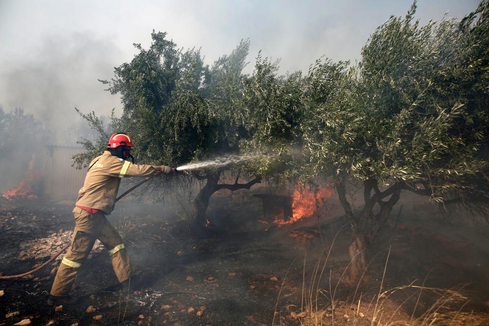A firefighter tries to extinguish a wildfire at Kouvaras area in Attica (EPA/YANNIS KOLESIDIS)
