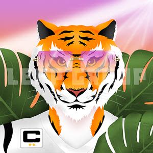 cincinnati bengals glow tiger 1920×1080