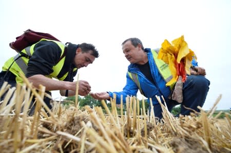 Army veterans and archeologists dig as part of archaeological research campaign called "Waterloo Uncovered" in Waterloo