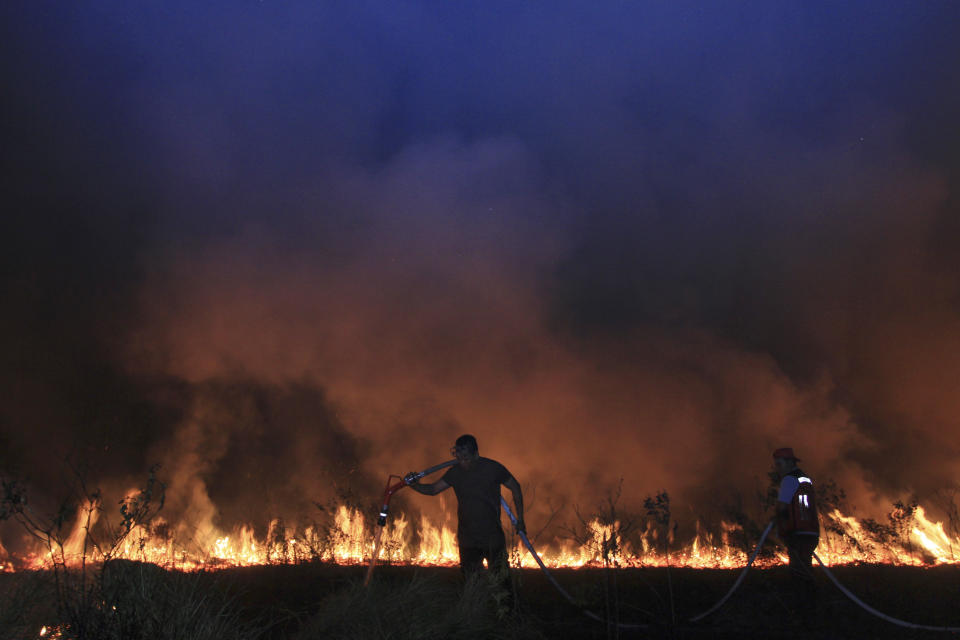 Firefighters attempt to extinguish a fire that razes through a peatland field in Ogan Ilir South Sumatra, Indonesia, Tuesday, Sept. 12, 2023. Indonesian firefighters were trying to extinguish more peatland fires on Indonesia's Sumatra Island on Tuesday. (AP Photo/Muhammad Hatta)