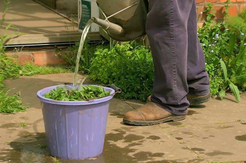 Monty Don making comfrey tea