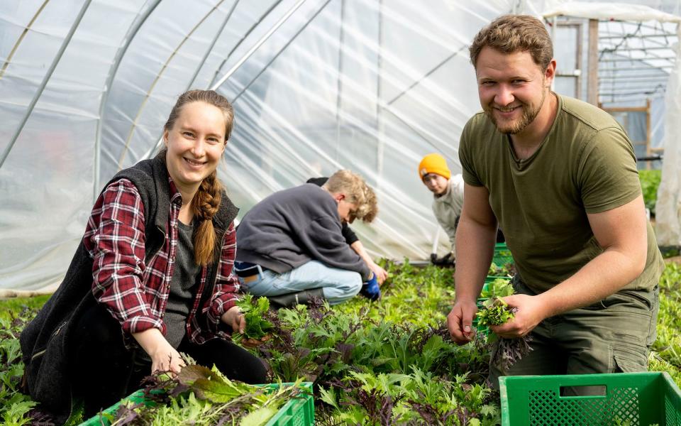 Marie Woeste und ihr Freund Lewis Zierke betreiben eine regenerative Landwirtschaft im Sauerland. Bei Erntearbeiten verzichten die beiden auf große Erntemaschinen. (Bild: NDR/WDR/Melanie Grande)