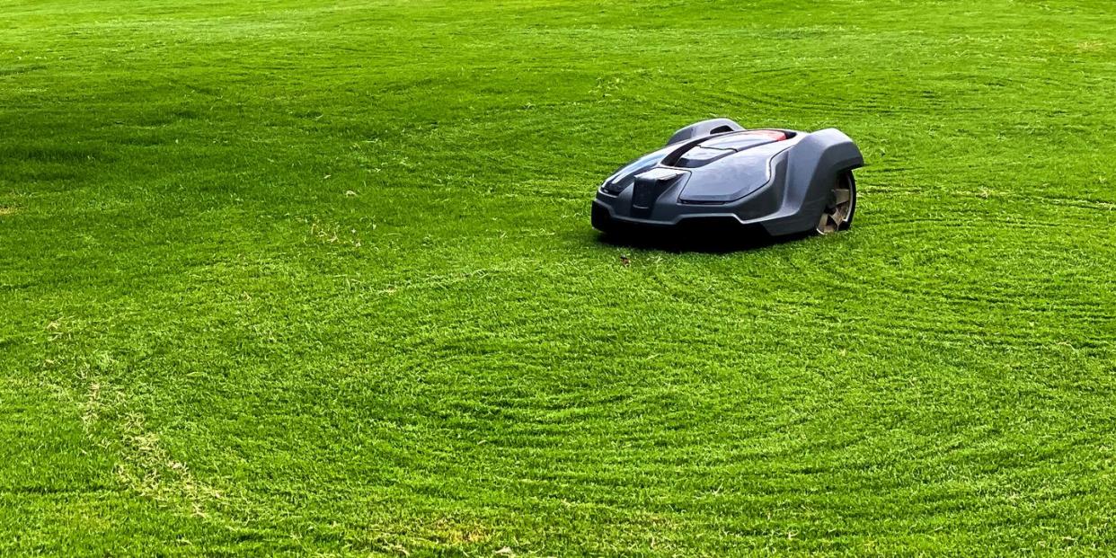 should you use a robot mower