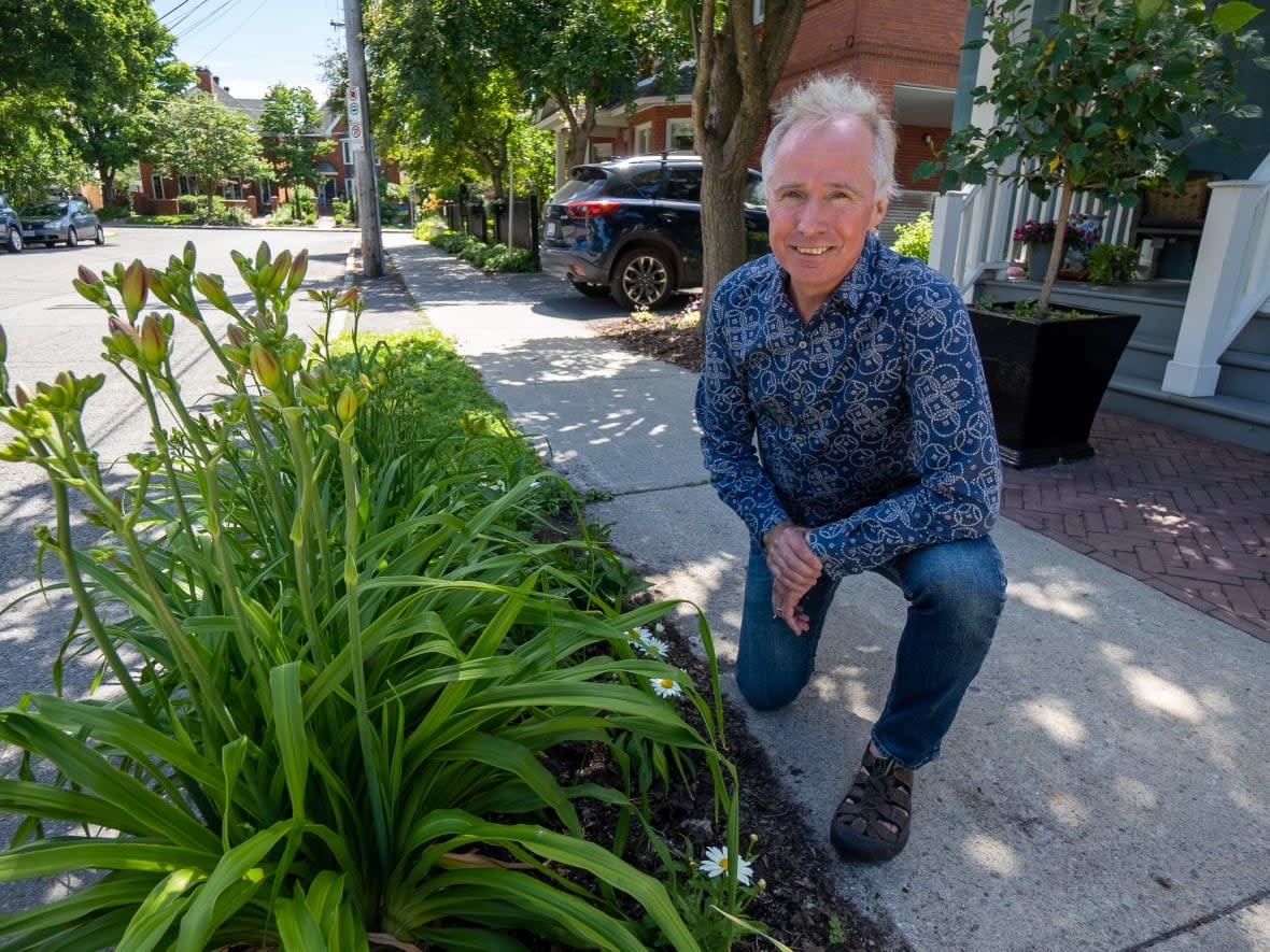 Andrew Fyfe planted this small garden in the verge between the sidewalk and curb in front of his home on Alexander Street in New Edinburgh five years ago. Last summer someone complained and Fyfe was ordered to dig it up. (Francis Ferland/CBC - image credit)