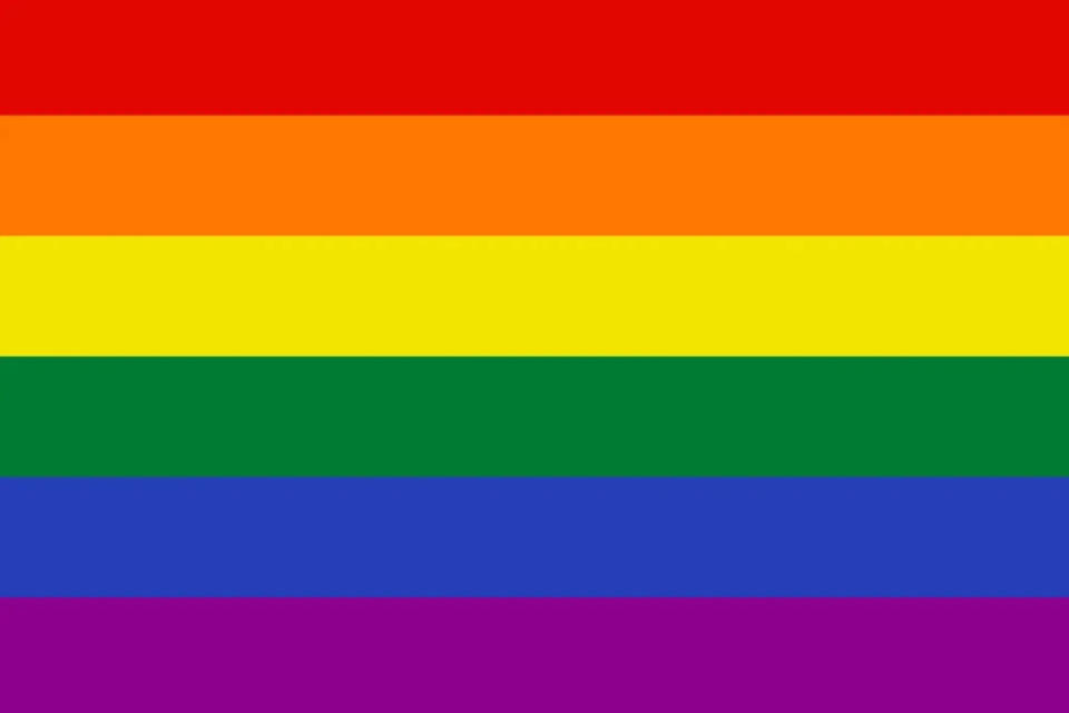 傳統的六帶彩虹旗是當今世界上最受歡迎的驕傲旗之一。（來源：Pantone）