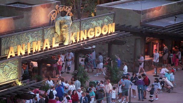 PHOTO: A crowd gathers at the entrance of Disney's Animal Kingdom in Orlando, Fla., in an undated photo. (Orlando Sentinel/TNS via Getty Images, FILE)