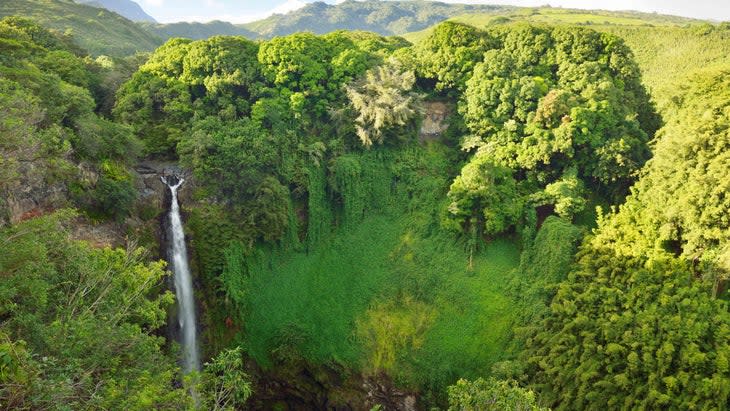 <span class="article__caption">Makahiku, Haleakala National Park. </span> (Photo: Westend61/Getty)