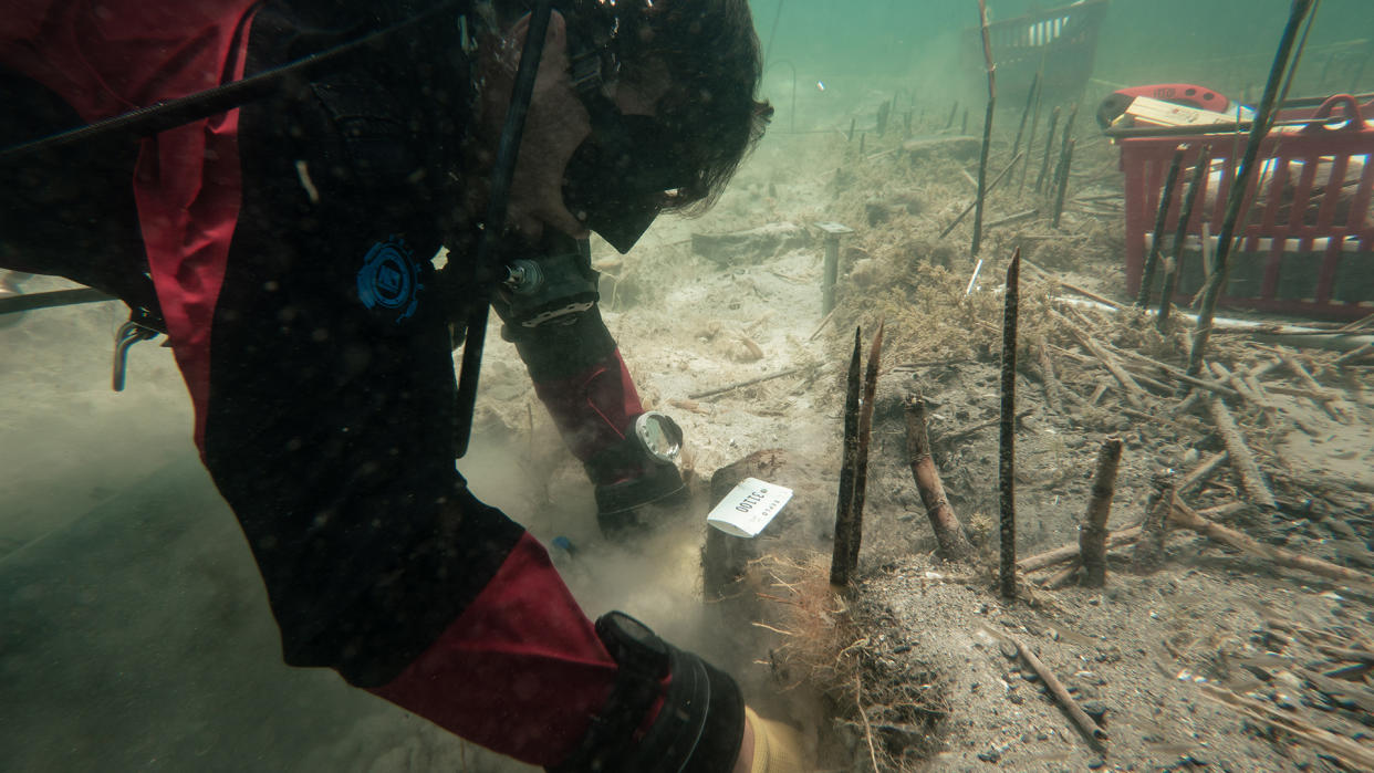  We see a diver at the lake floor, where there are lots of wooden sticks in the ground. 