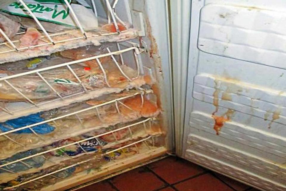 Violations: the freezer at the restaurant