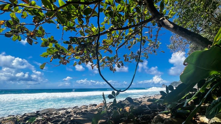 end of the Tuafanua Trail in National Park of American Samoa