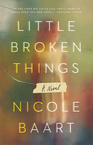 Picture of Little Broken Things Book