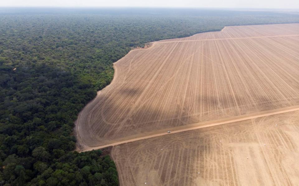 The boundary between the Xingu Indigenous Park and the farmed land that surrounds the reserve (Reuters)