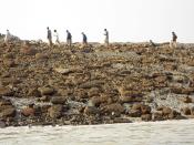 People walk on an island that rose from the sea following an earthquake, off Pakistan's Gwadar coastline in the Arabian Sea September 25, 2013. A major earthquake hit a remote part of western Pakistan on Tuesday, killing at least 45 people and prompting the new island to rise from the sea just off the country's southern coast. The earthquake was so powerful that it caused the seabed to rise and create a small, mountain-like island about 600 meters off Pakistan's Gwadar coastline. Television channels showed images of a stretch of rocky terrain rising above the sea level, with a crowd of bewildered people gathering on the shore to witness the rare phenomenon. REUTERS/Stringer (PAKISTAN - Tags: ENVIRONMENT DISASTER TPX IMAGES OF THE DAY)