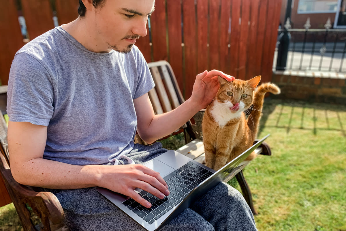 A man works on his laptop outside while petting his cat. 