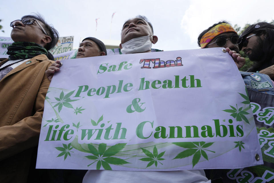 Cannabis supporters gather during a demonstration outside the Government House in Bangkok, Thailand, Tuesday, Nov. 22, 2022. Thailand made it legal to cultivate and possess marijuana for medicinal purposes earlier this year, but lax regulations allowed the growth of a recreational marijuana industry, and the demonstrators don't want the rules against it to be strengthened again. (AP Photo/Sakchai Lalit)