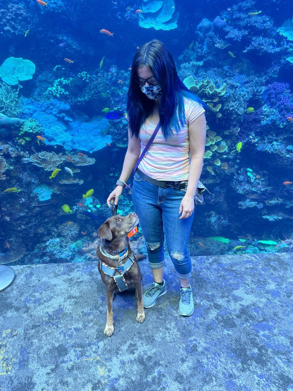 Dog with handler at an aquarium