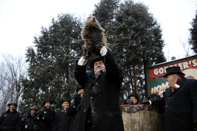 Punxsutawney Phil is introduced to the crowd on the 133rd Groundhog Day in Punxsutawney, Pennsylvania