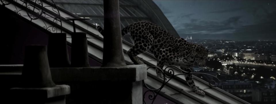 The panther in the "L'odyssée de Cartier" film