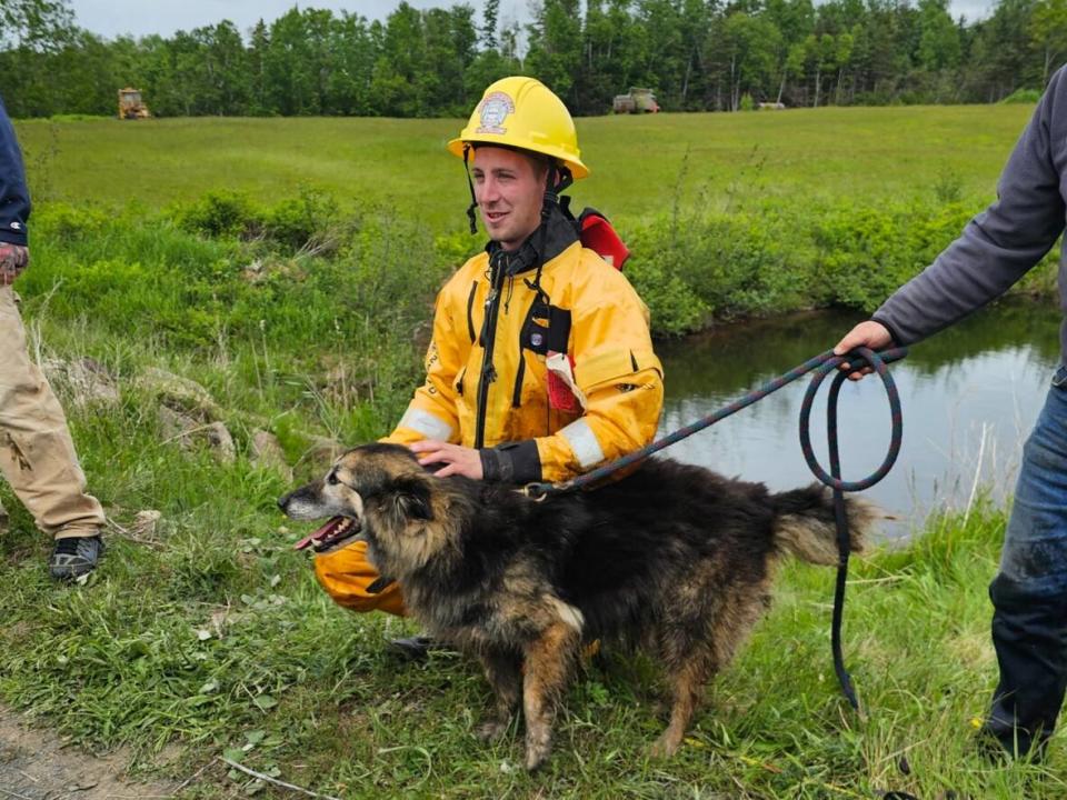 Wilson the dog was rescued by local firefighter Andrew Crossley who was small enough to squeeze into the culvert to get him. (Dennis Jones - image credit)