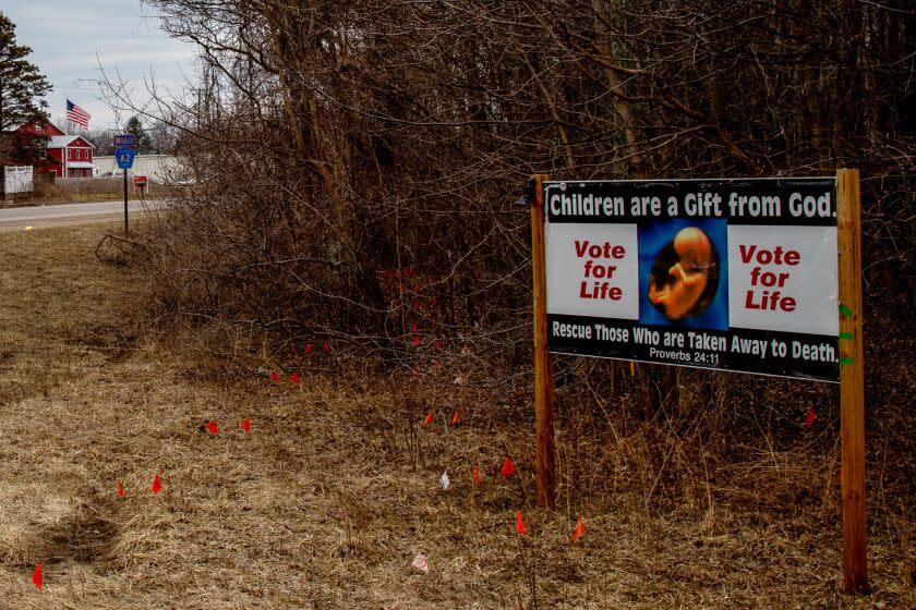 An anti-abortion sign sits off a country road in Holland, Michigan.