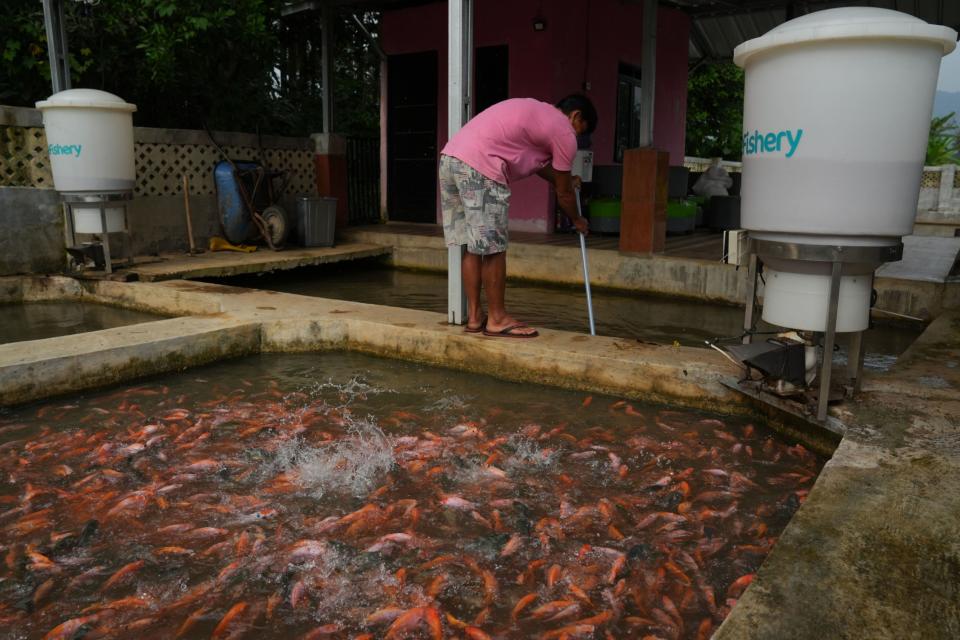 An eFishery feed dispenser at a fish farm in Subang Regency in West Java. (Dimas Ardian/Bloomberg)