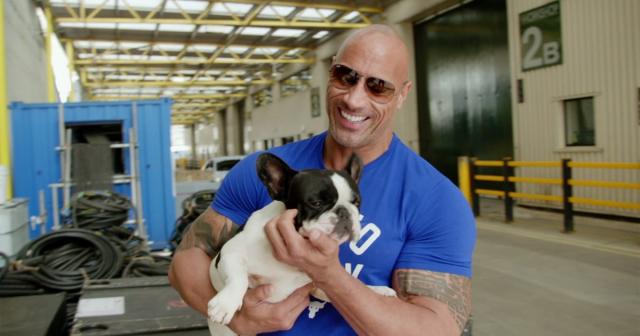 Dwayne Johnson introduces his adorable canine Hobbs & Shaw co-star