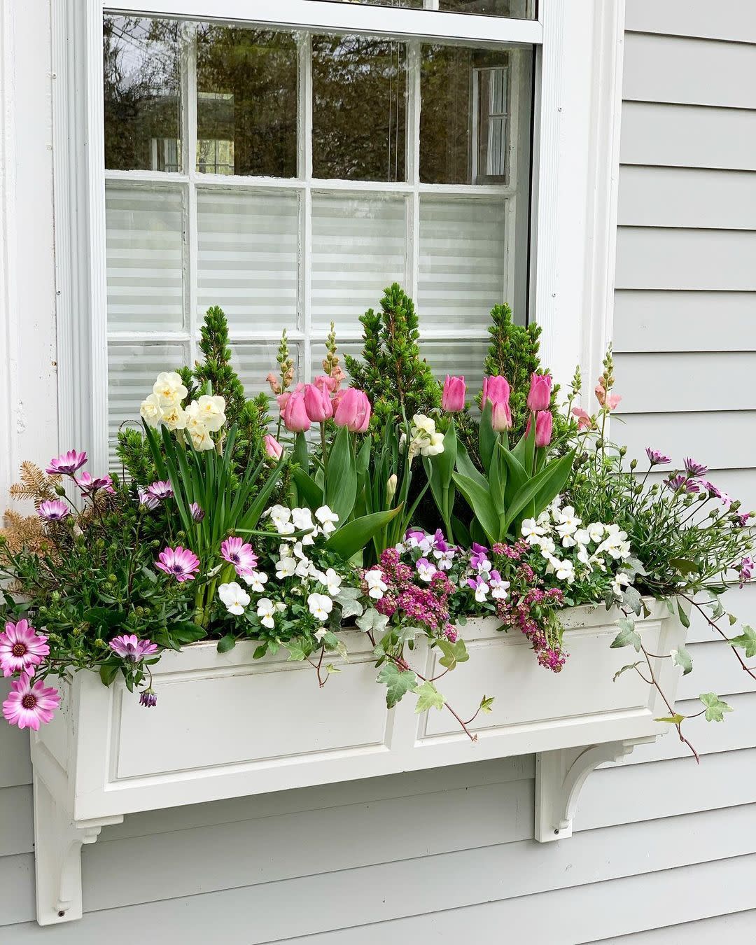 a window with flowers in it