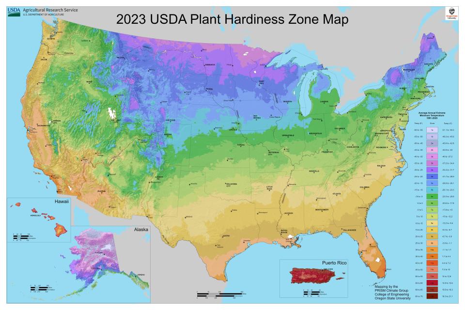 The 2023 USDA plant hardiness zone map, which shows which areas of the country are suitable for growing plants and crops based on the lowest temperatures during the growing season.