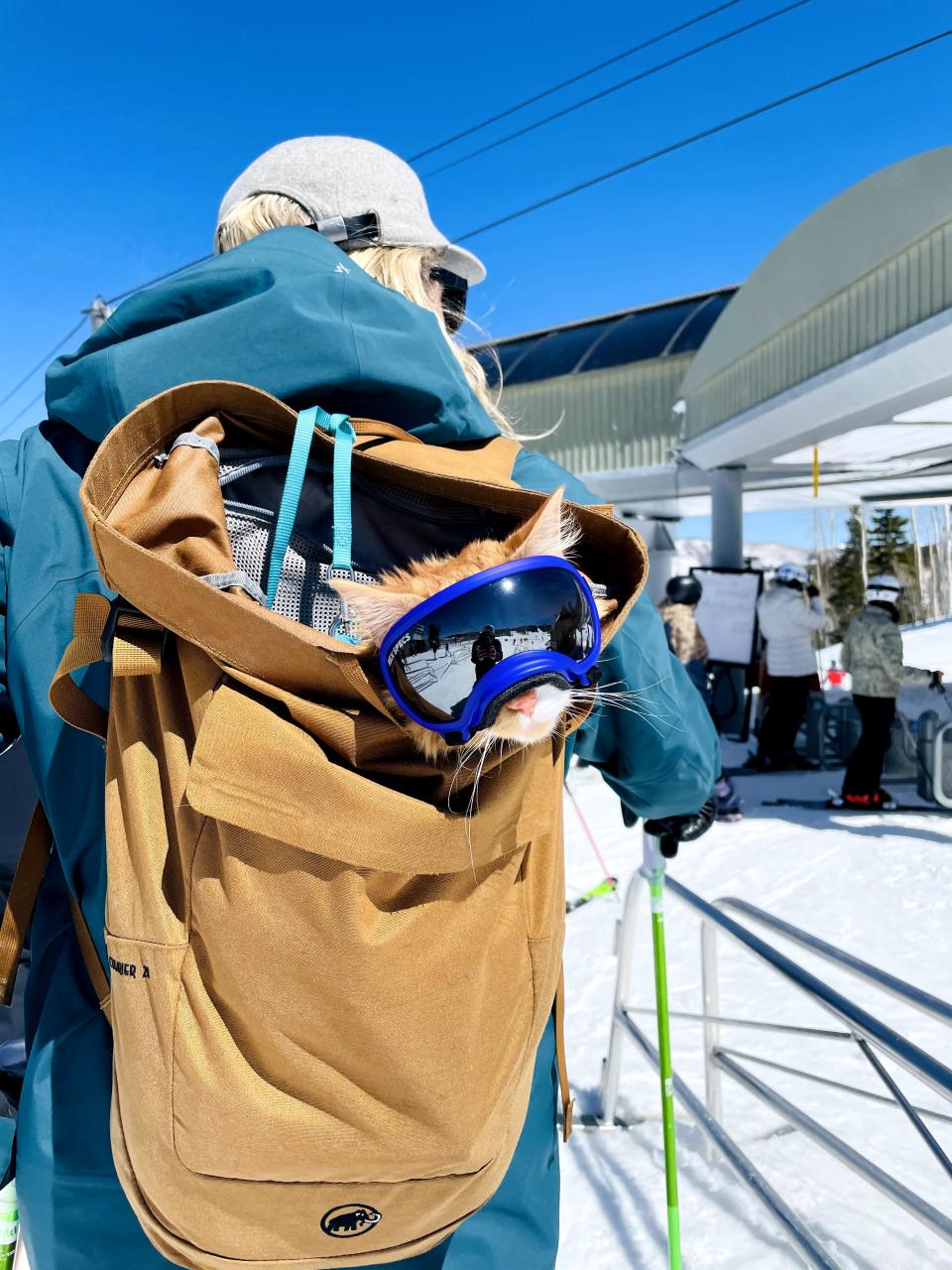 Liebchen sits in his backpack when his parents are skiing (Collect/PA Real Life)