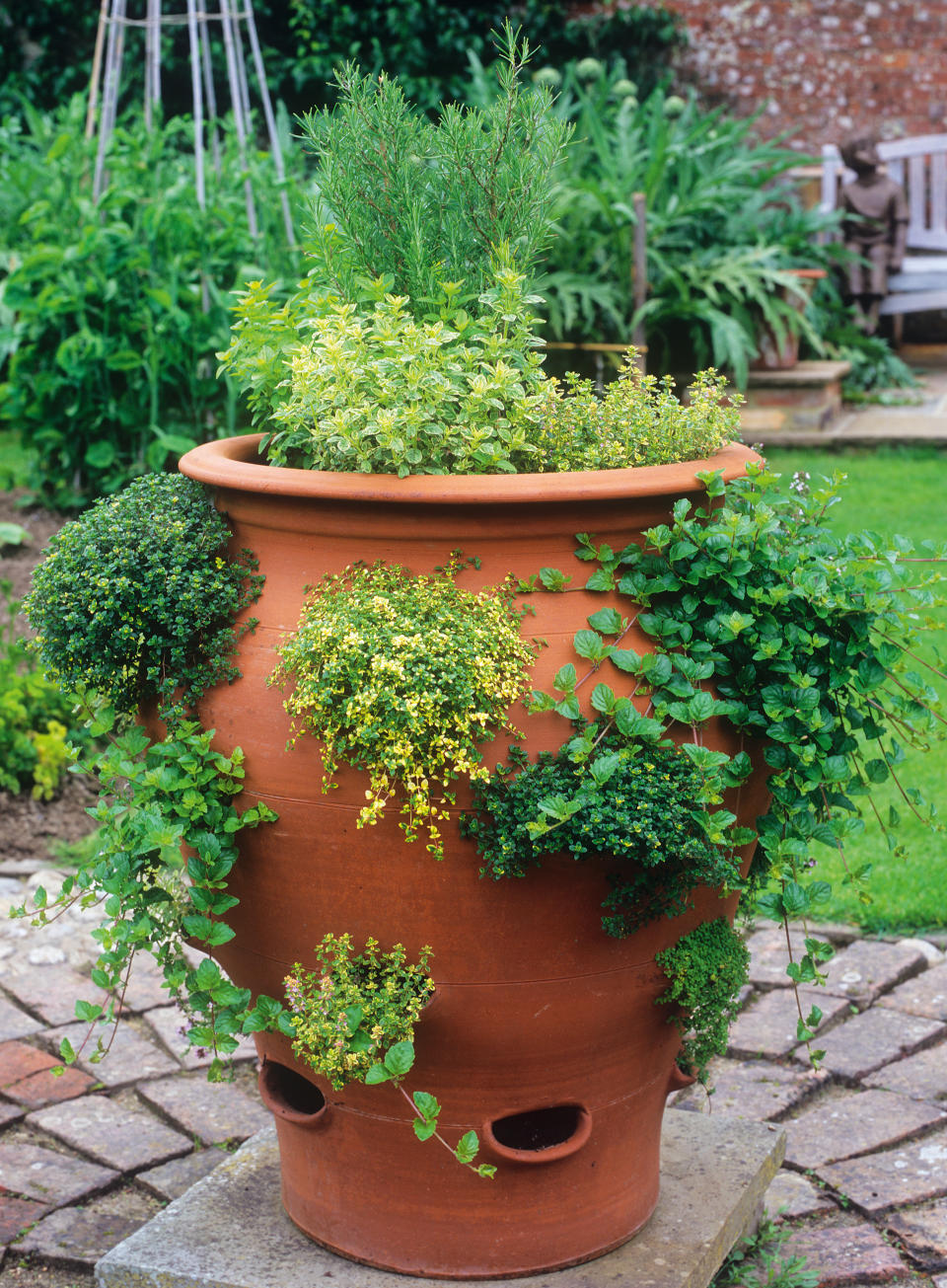 <p> If you&#x2019;re short on garden space, perhaps only with a small courtyard or even just a doorstep, you can create a complete herb garden in a single planter. </p> <p> Terracotta herb planters have various holes that allow you to plant different herbs in separate sections of the same pot.&#xA0; </p> <p> Terracotta is a great choice for this type of pot as it is porous, meaning it lets air and water circulate, preventing root rot and soil disease, and keeping your herbs healthy. </p> <p> Happily there are many container gardening that will enable you to create a lush oasis in the smallest of spaces. </p> <p> When it comes to potting up your herbs, Jekka McVicar of Jekka&apos;s advises potting up a plant one pot-size at a time. &apos;Going from a 1ltr pot to a 10ltr pot in one go will stress the plant and can quite often kill it,&apos; she says. </p>