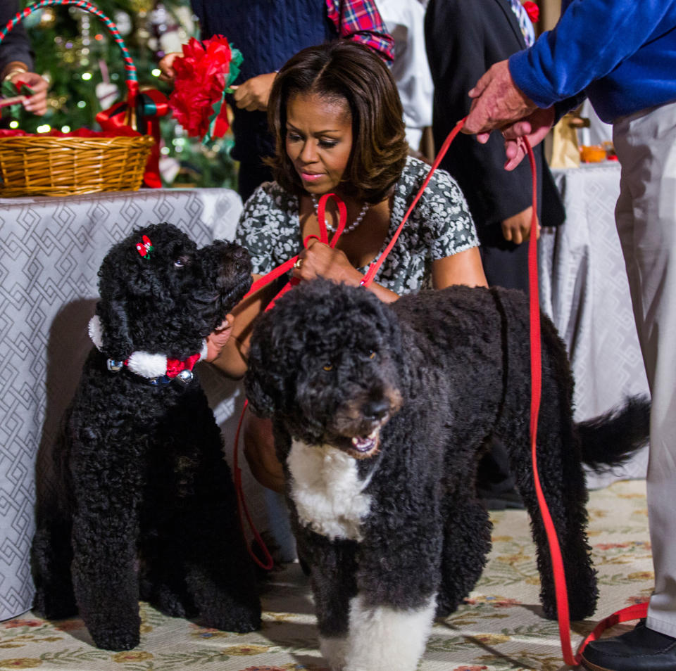 First Lady Michele Obama Unveils the Holiday Decorations at the White House