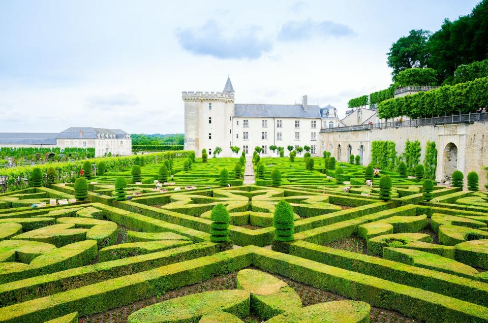 Gardens of Villandry in Villandry, France