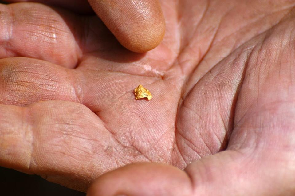 Fossicking may not make your fortune, but it can still be a fun hobby. Shutterstock