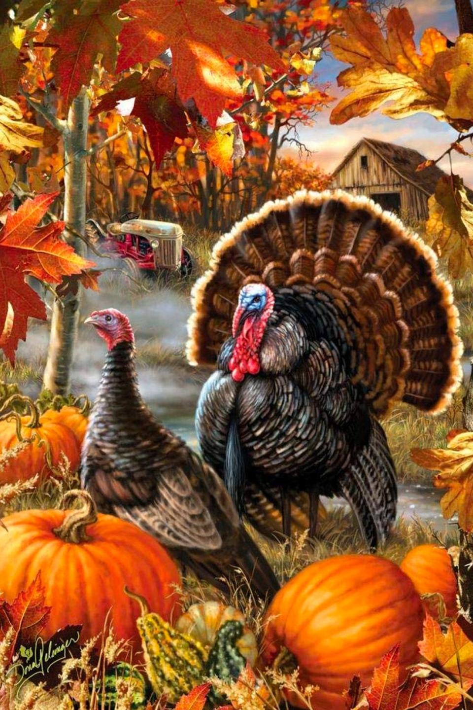 Gobbler Farms 1000-Piece Jigsaw Puzzle