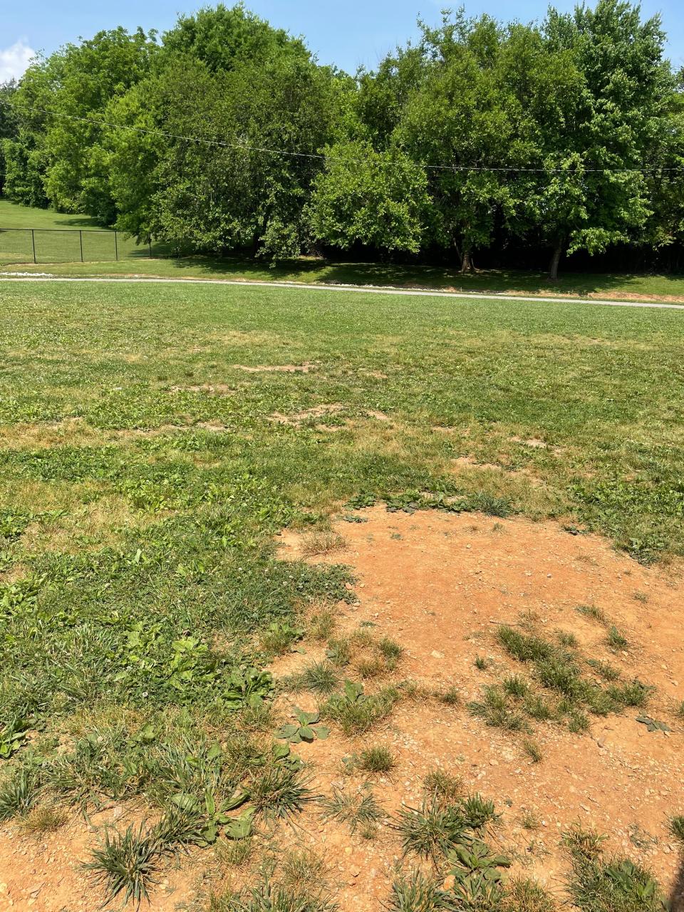 A large area in the middle of the playground at Powell Elementary School floods whenever it rains. 2022