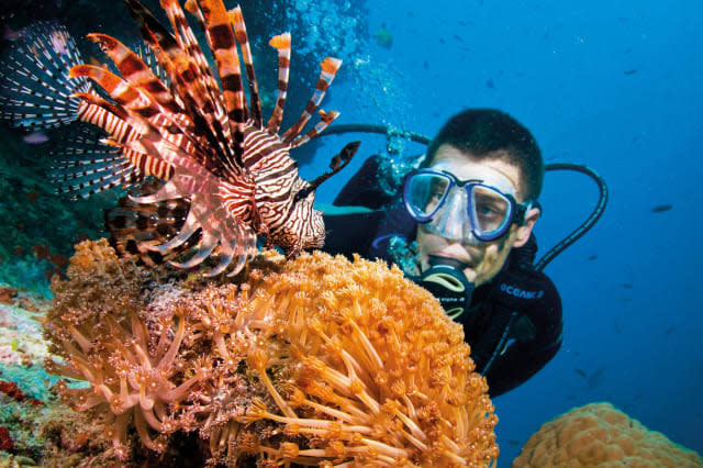 Lighthouse Bommie, at Ribbon Reefs, Great Barrier Reef