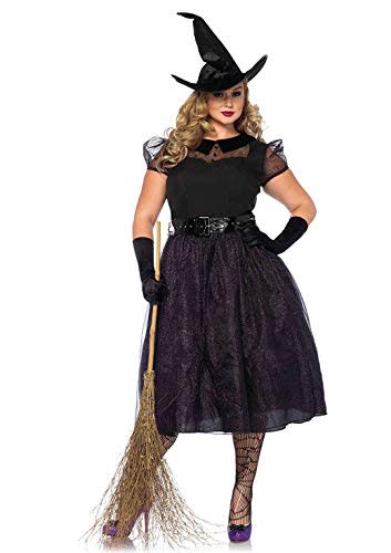 42) Plus-Size Wicked Witch Costume