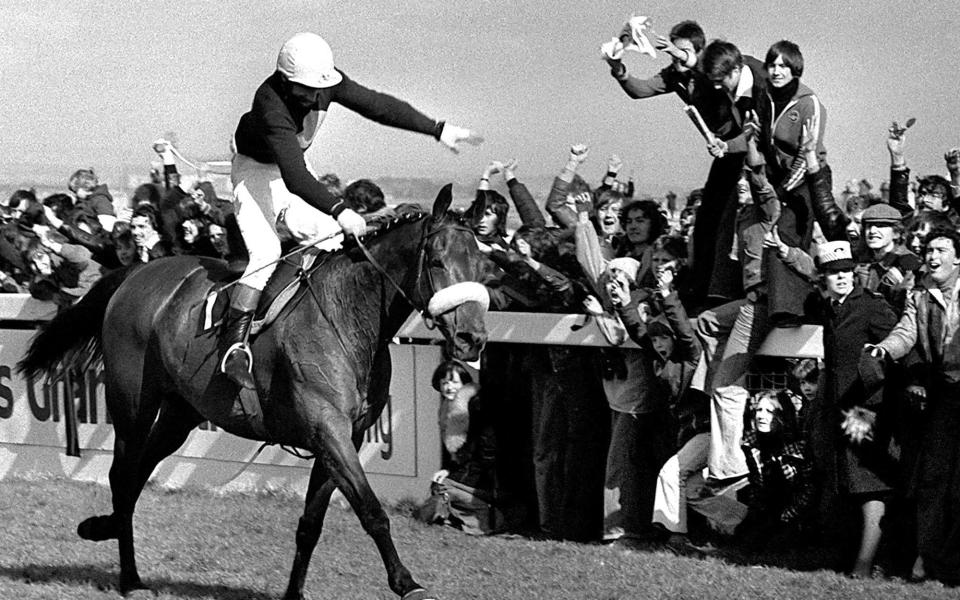 Red Rum, ridden by Tommy Stack, winning at Aintree to make National Hunt history as winner of the Grand National Steeplechase for a record third time - PA