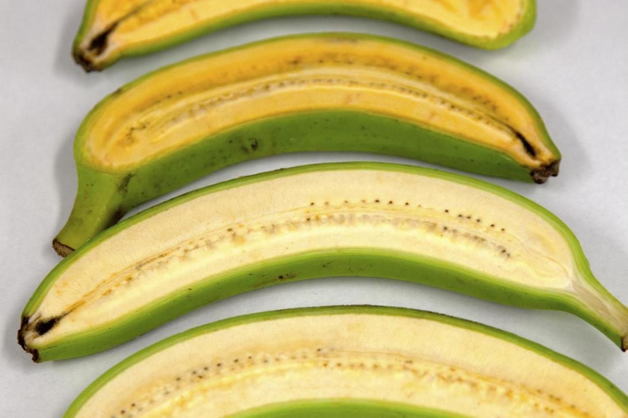 The bananas are rich in pro-vitamin A: Queensland University of Technology