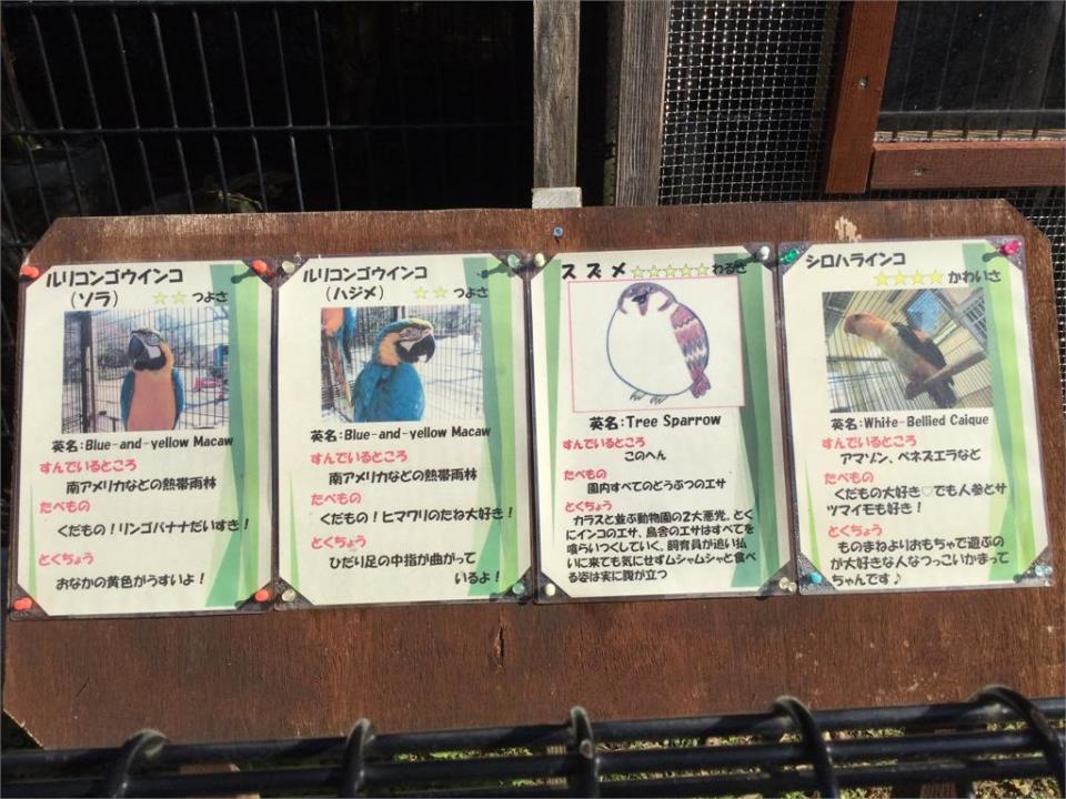 日本動物園超恨麻雀!員工怒畫「跩臉肥樣」曝5星級惡行：蹭無極限