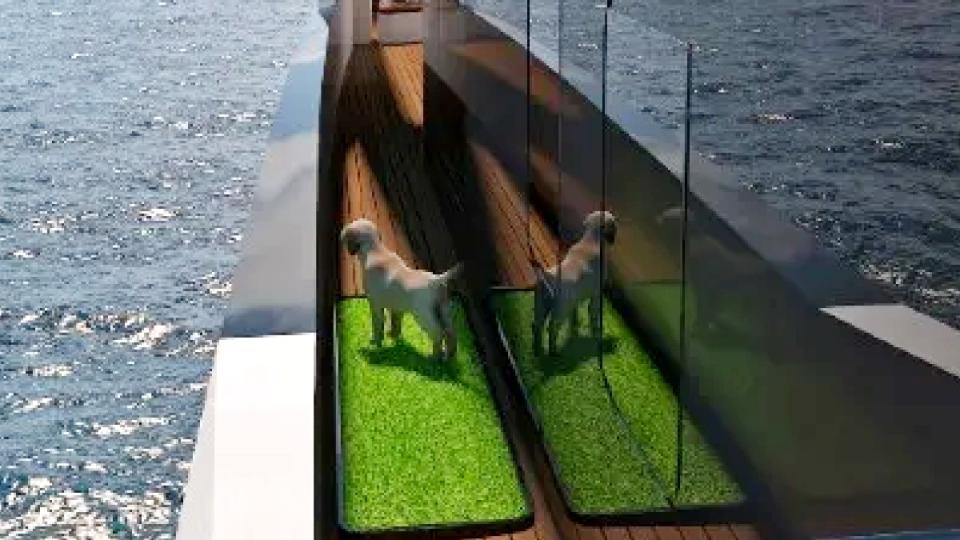 Superyachts designed around dogs. 